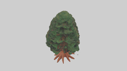 3D model Redwood tree model VR / AR / low-poly