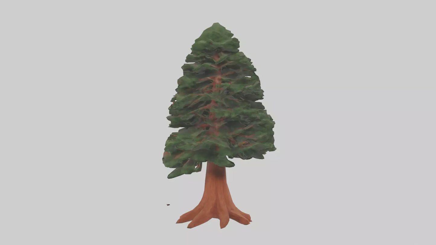 3D model Redwood tree model VR / AR / low-poly