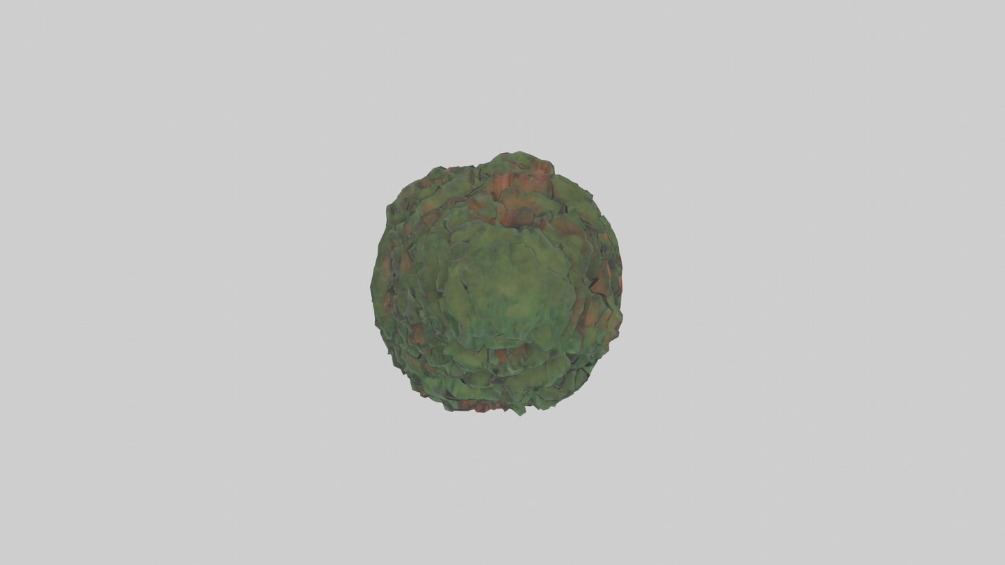 3D model Redwood tree model VR / AR / low-poly