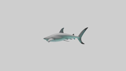 Reef Shark swimming model VR / AR / low-poly