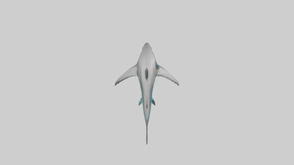 Reef Shark swimming model VR / AR / low-poly