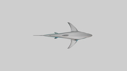 Reef Shark swimming model VR / AR / low-poly