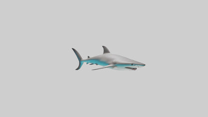 Reef Shark swimming model VR / AR / low-poly