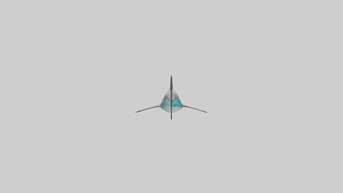 Reef Shark swimming model VR / AR / low-poly