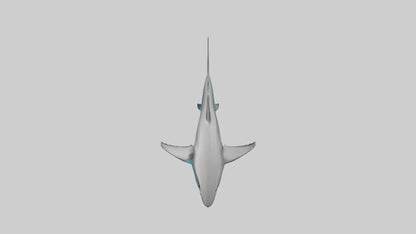 Reef Shark swimming model VR / AR / low-poly
