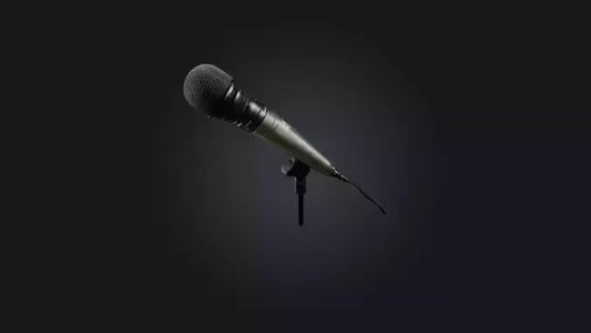 reporter microphone 3D model