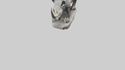 3D model Rhino statue model VR / AR / low-poly