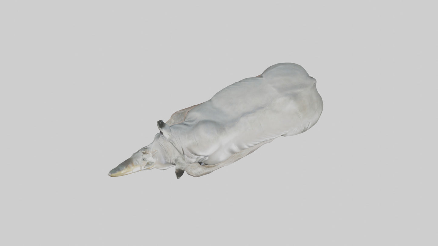 3D model Rhino statue model VR / AR / low-poly