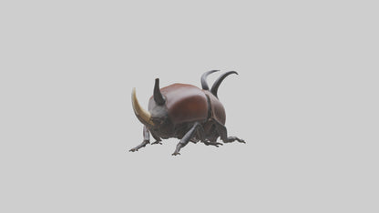 3D model Rhinoceros Beetle climbing bark model VR / AR / low-poly