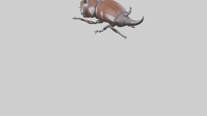 3D model Rhinoceros Beetle climbing bark model VR / AR / low-poly