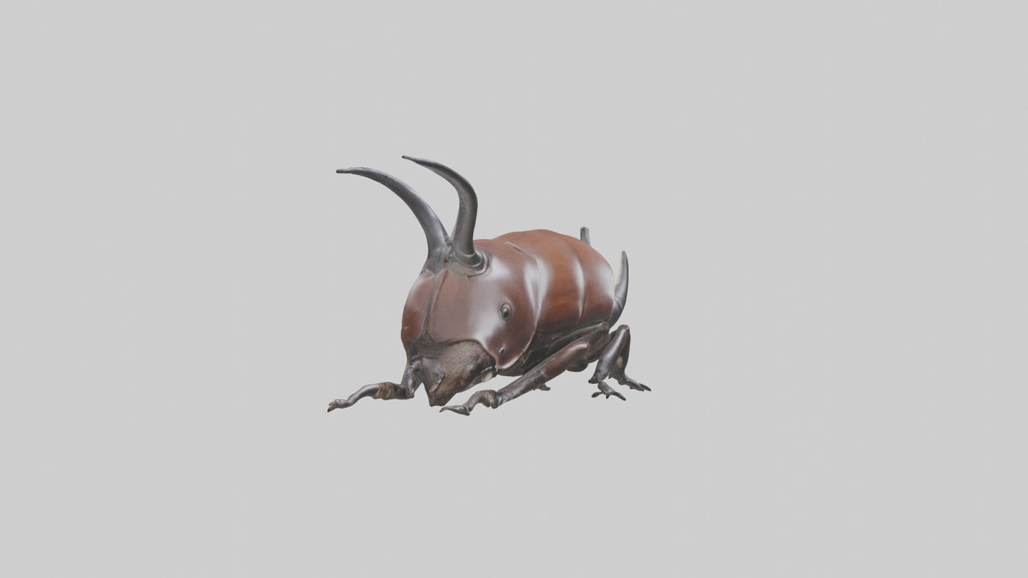 3D model Rhinoceros Beetle climbing bark model VR / AR / low-poly