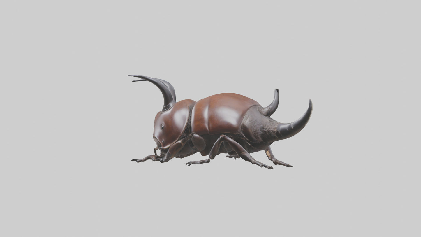 3D model Rhinoceros Beetle climbing bark model VR / AR / low-poly