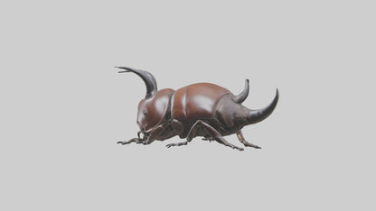 3D model Rhinoceros Beetle climbing bark model VR / AR / low-poly