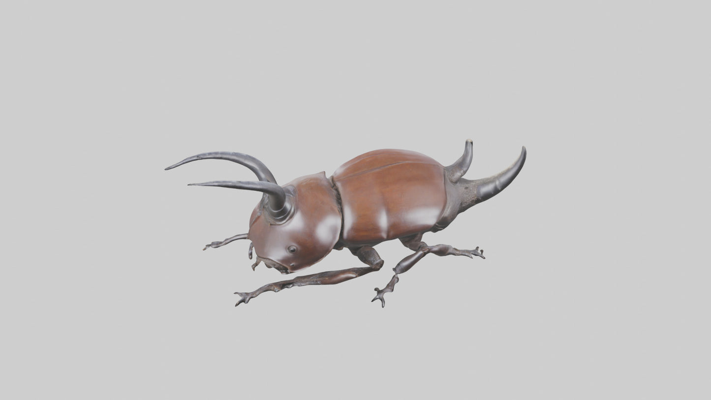 3D model Rhinoceros Beetle climbing bark model VR / AR / low-poly