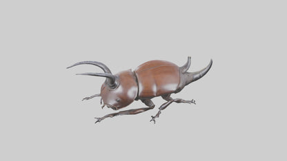 3D model Rhinoceros Beetle climbing bark model VR / AR / low-poly