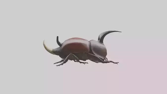 3D model Rhinoceros Beetle climbing bark model VR / AR / low-poly