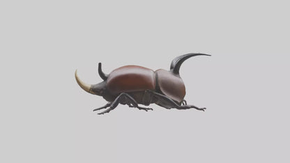 3D model Rhinoceros Beetle climbing bark model VR / AR / low-poly