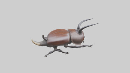 3D model Rhinoceros Beetle climbing bark model VR / AR / low-poly