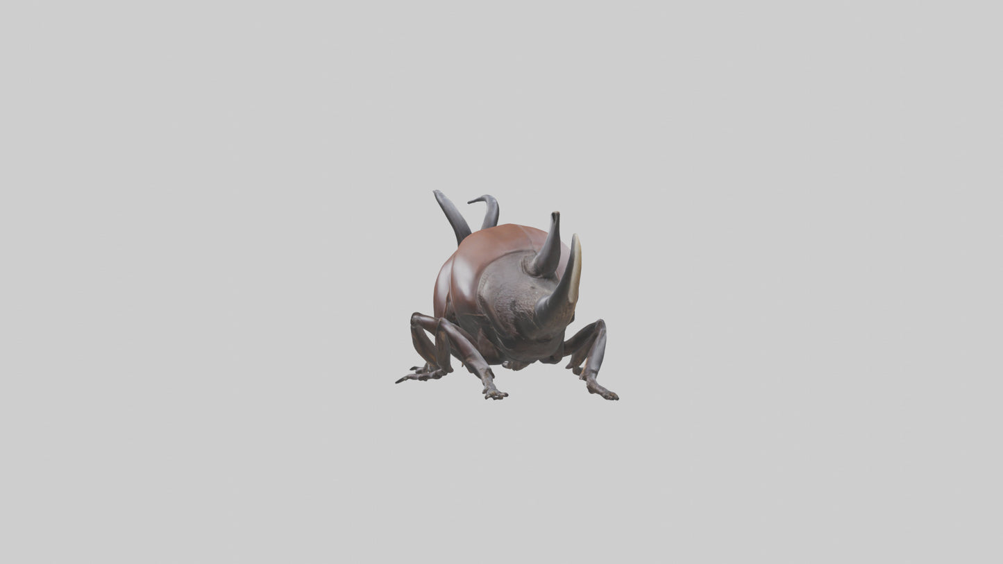 3D model Rhinoceros Beetle climbing bark model VR / AR / low-poly