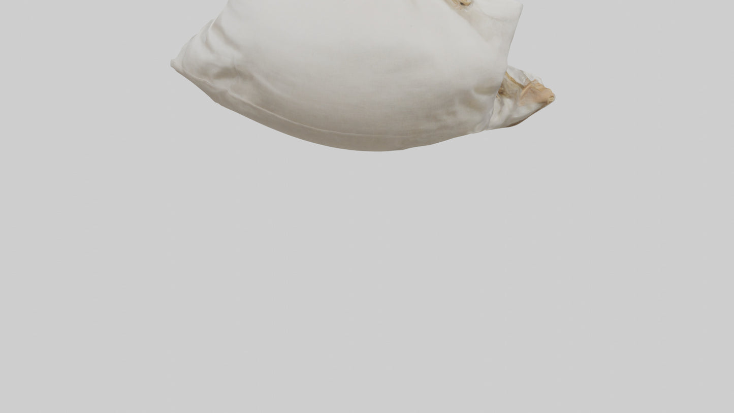 Rice Bag model VR / AR / low-poly