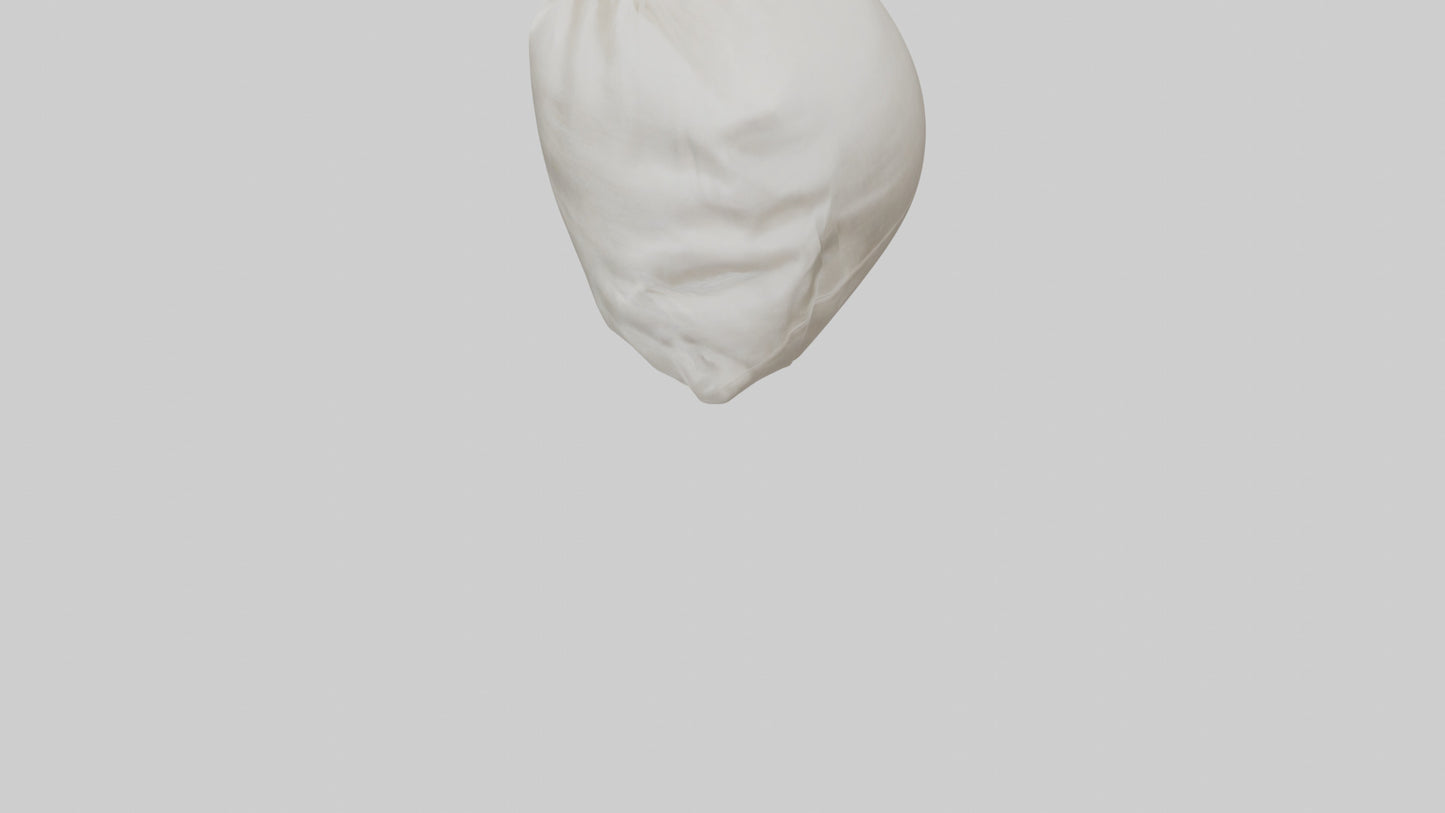 Rice Bag model VR / AR / low-poly