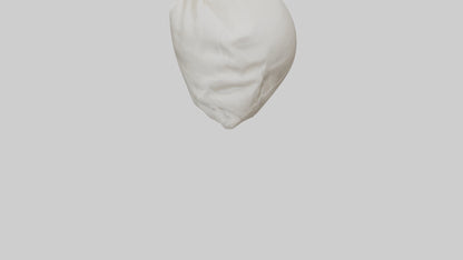Rice Bag model VR / AR / low-poly