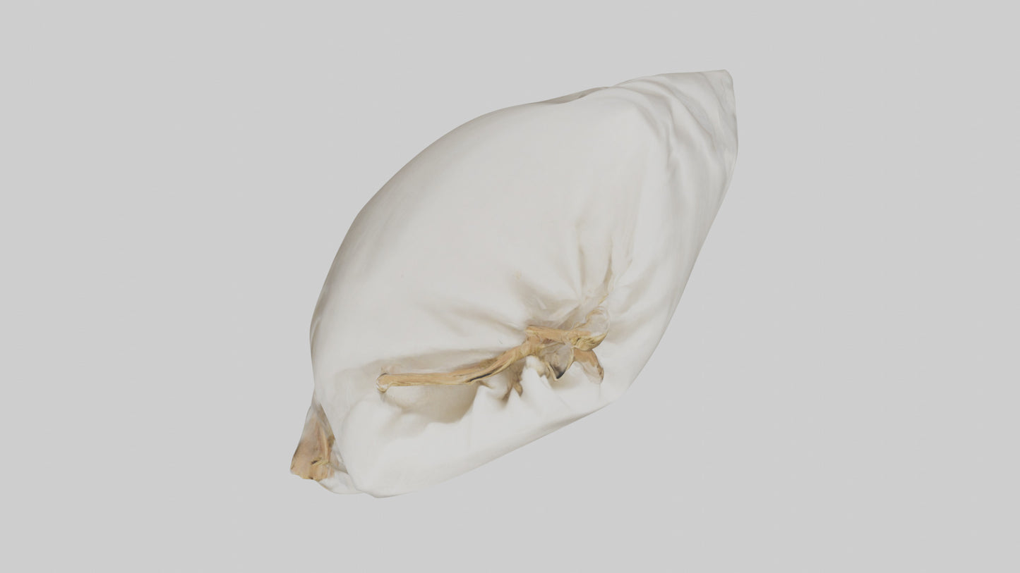 Rice Bag model VR / AR / low-poly