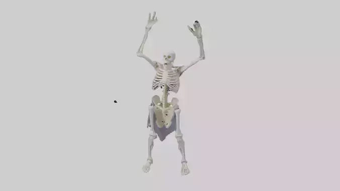3D model Risen skeleton model VR / AR / low-poly