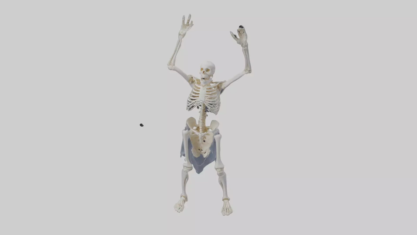 3D model Risen skeleton model VR / AR / low-poly