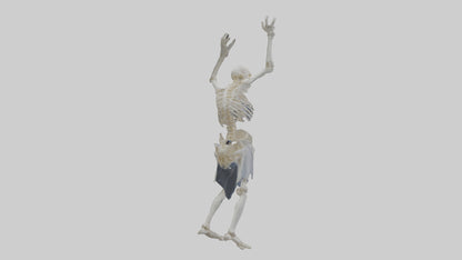 3D model Risen skeleton model VR / AR / low-poly