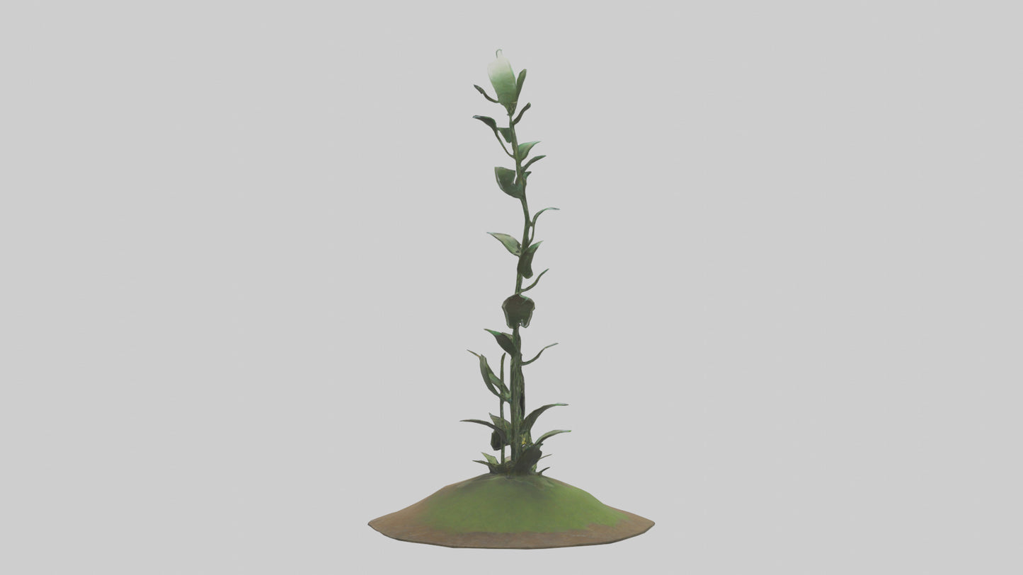 Rising Plant Sculpture model VR / AR / low-poly