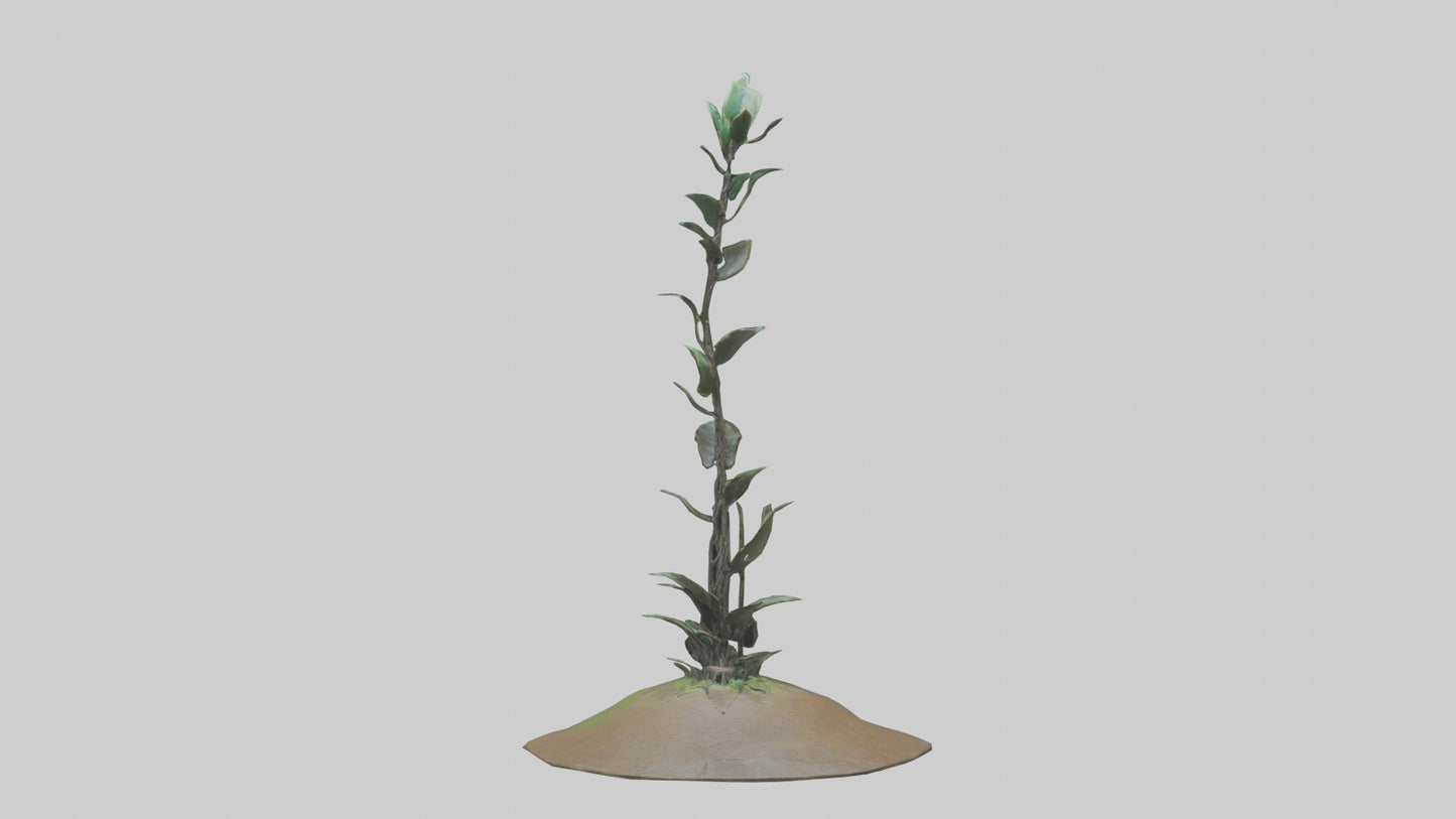 Rising Plant Sculpture model VR / AR / low-poly