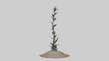 Rising Plant Sculpture model VR / AR / low-poly
