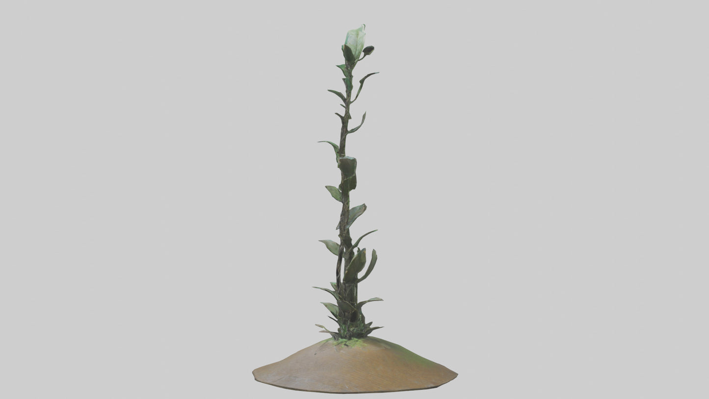 Rising Plant Sculpture model VR / AR / low-poly