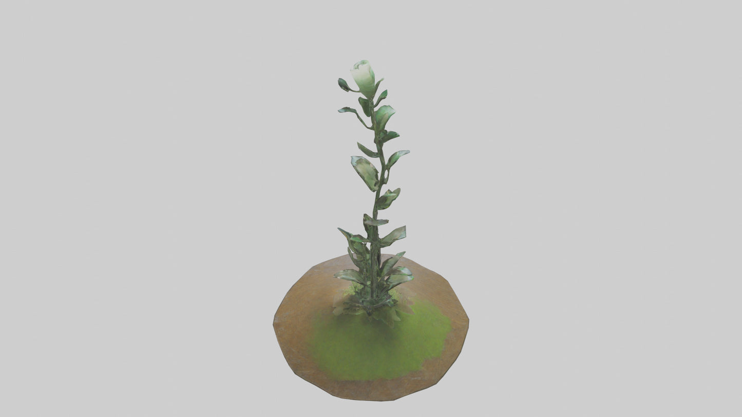 Rising Plant Sculpture model VR / AR / low-poly
