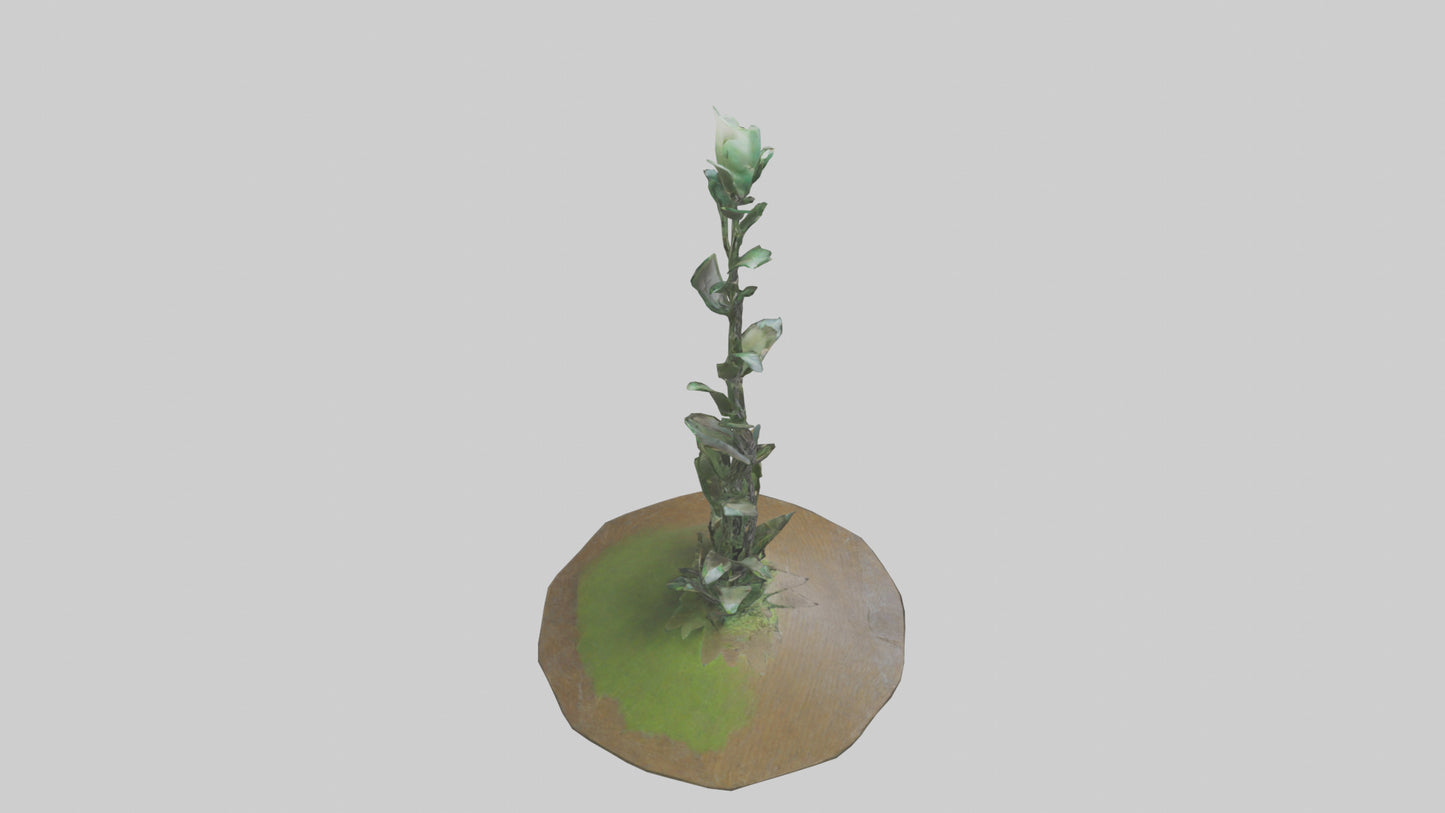 Rising Plant Sculpture model VR / AR / low-poly