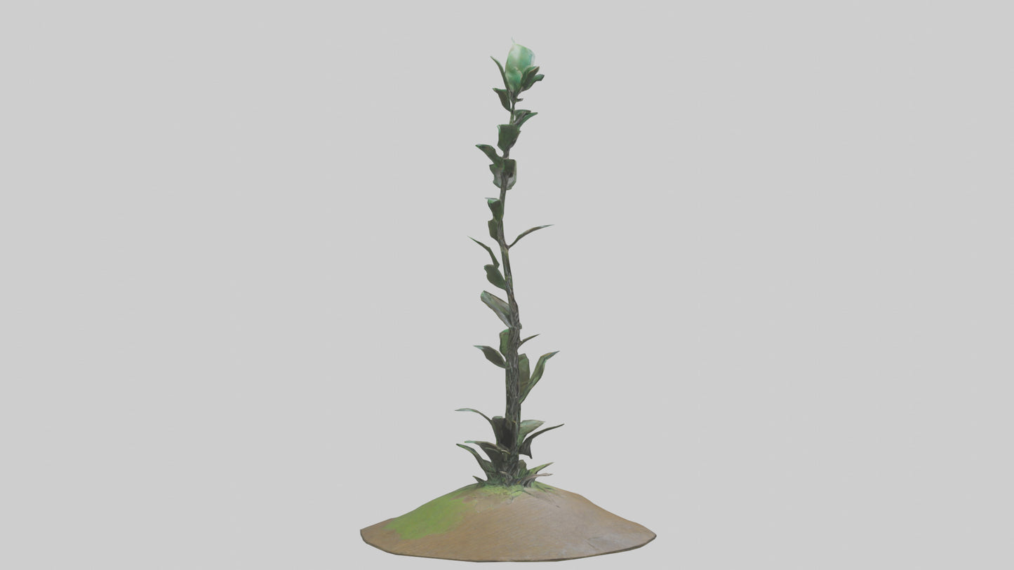 Rising Plant Sculpture model VR / AR / low-poly