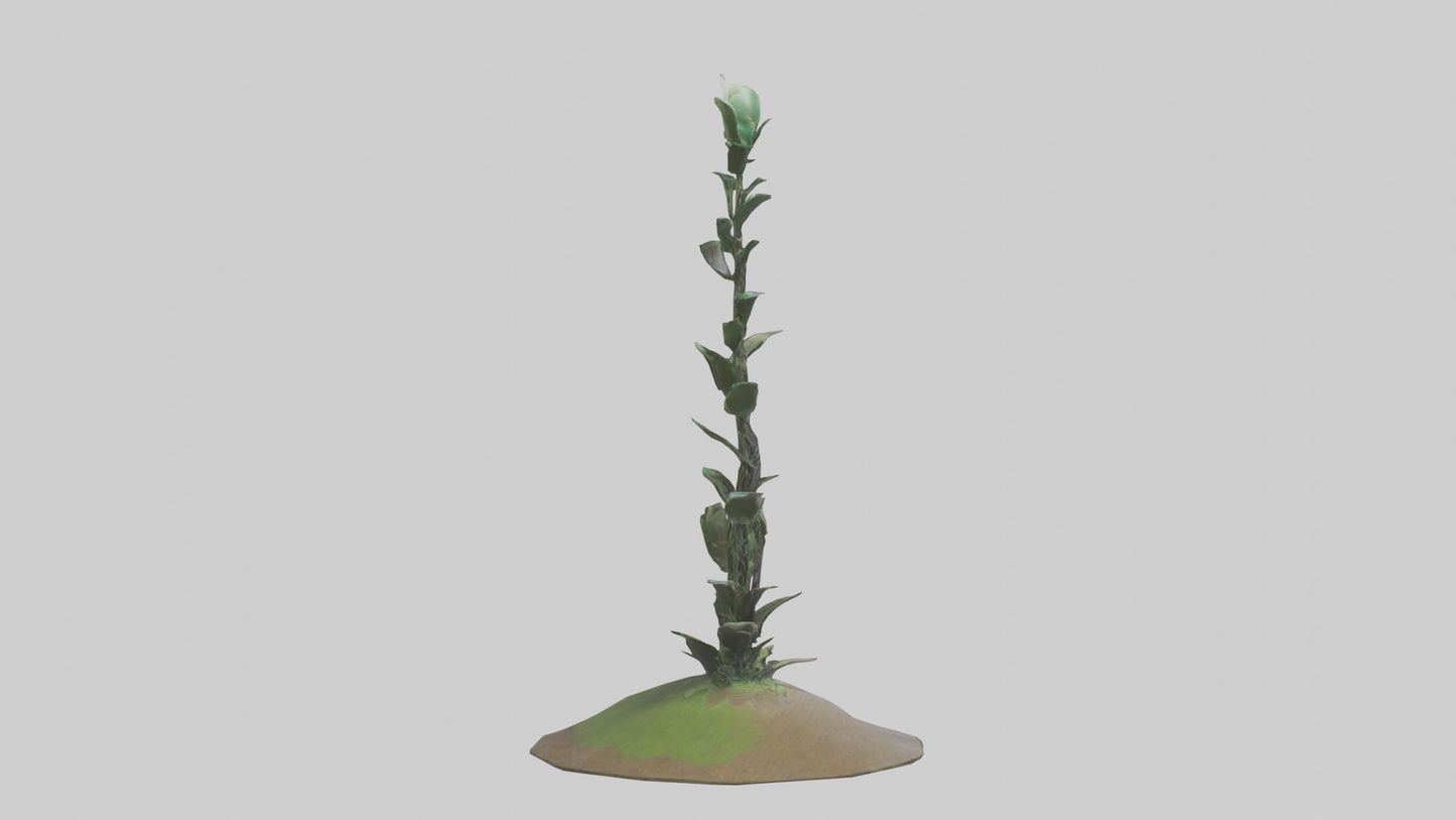 Rising Plant Sculpture model VR / AR / low-poly
