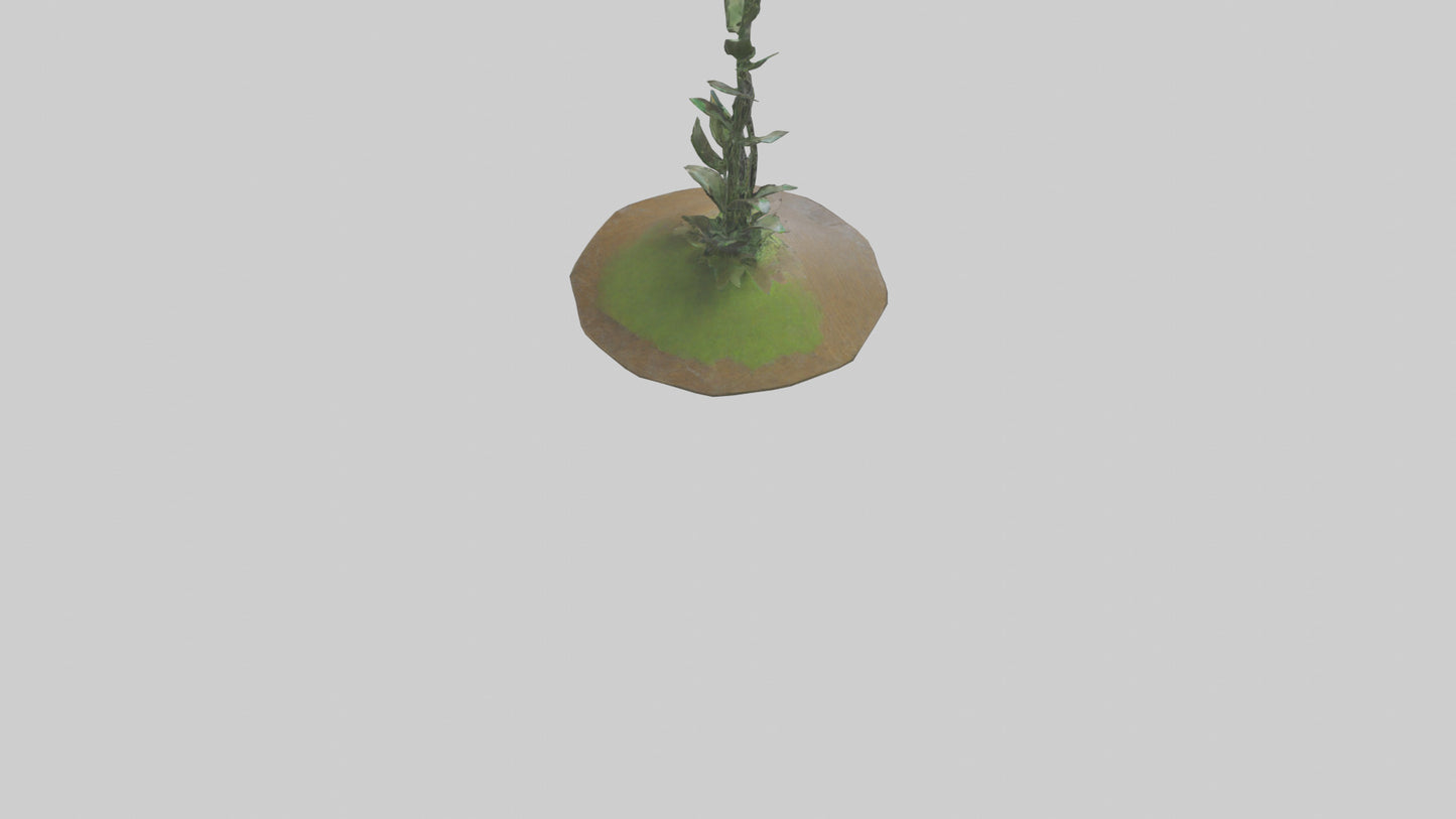Rising Plant Sculpture model VR / AR / low-poly