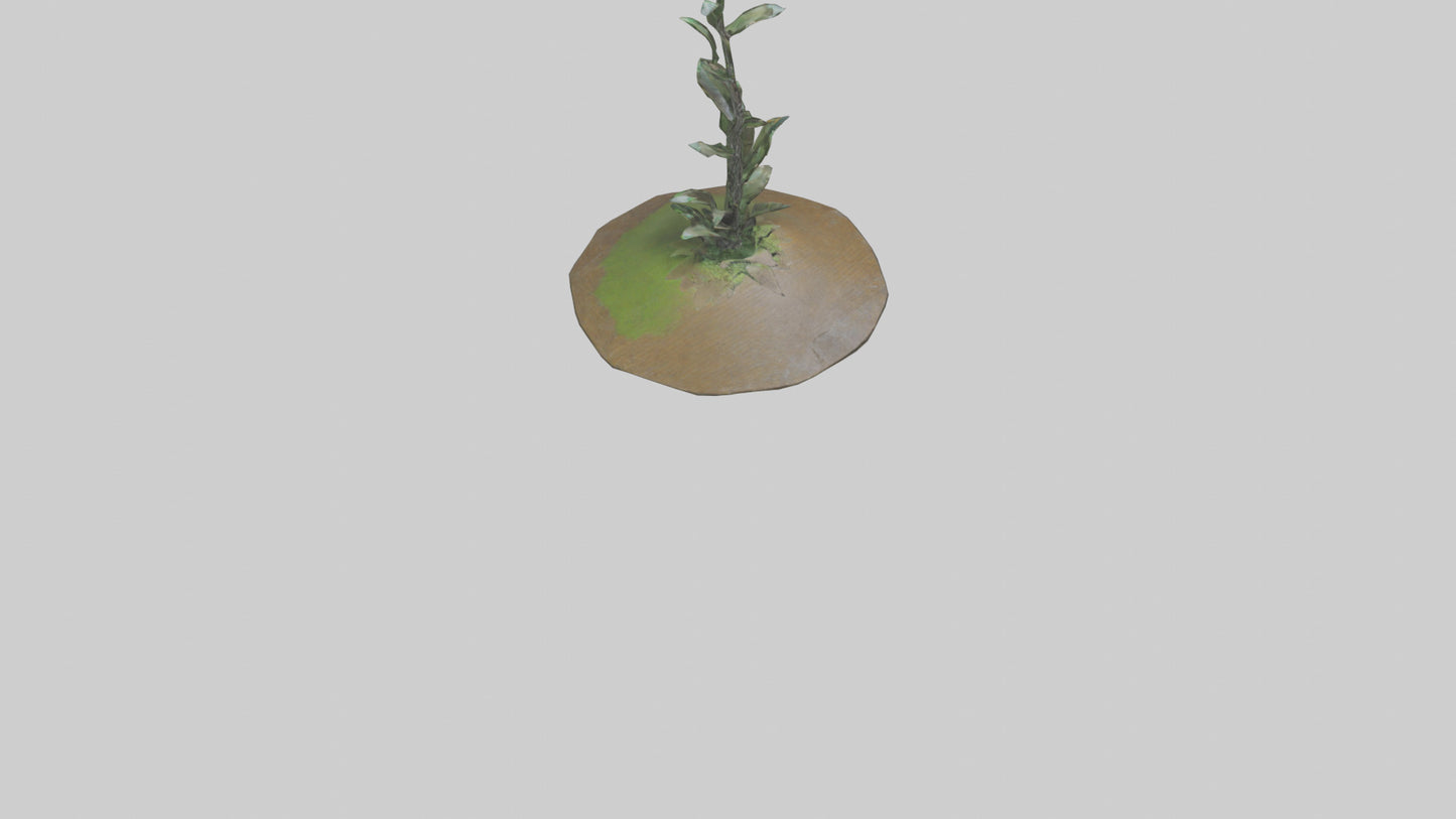 Rising Plant Sculpture model VR / AR / low-poly