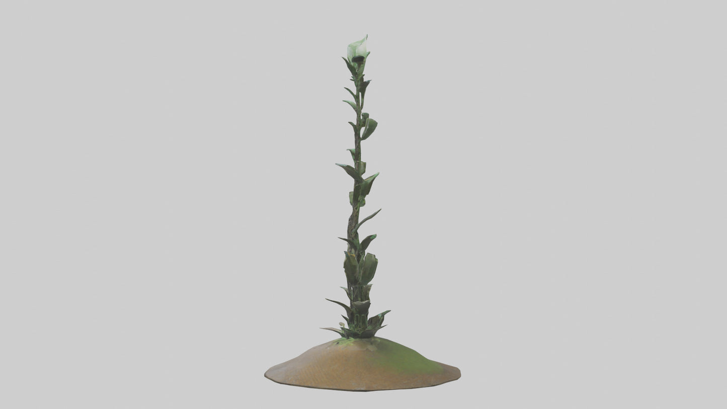 Rising Plant Sculpture model VR / AR / low-poly