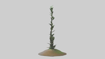 Rising Plant Sculpture model VR / AR / low-poly