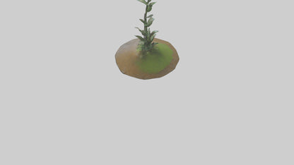 Rising Plant Sculpture model VR / AR / low-poly