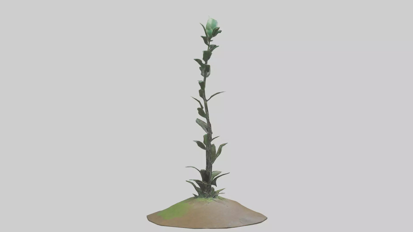 Rising Plant Sculpture model VR / AR / low-poly