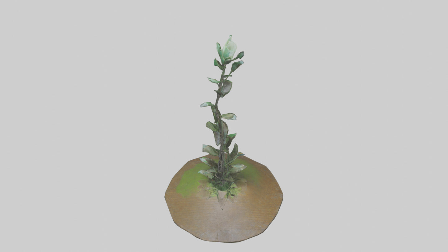 Rising Plant Sculpture model VR / AR / low-poly