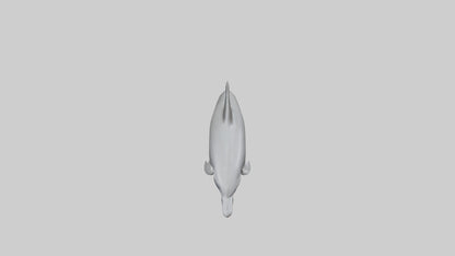 River Dolphin hunting model VR / AR / low-poly