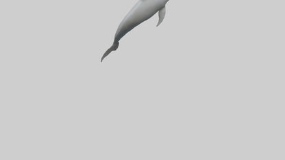 River Dolphin hunting model VR / AR / low-poly