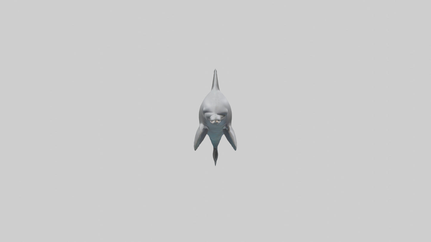 River Dolphin hunting model VR / AR / low-poly
