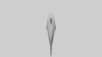 River Dolphin hunting model VR / AR / low-poly