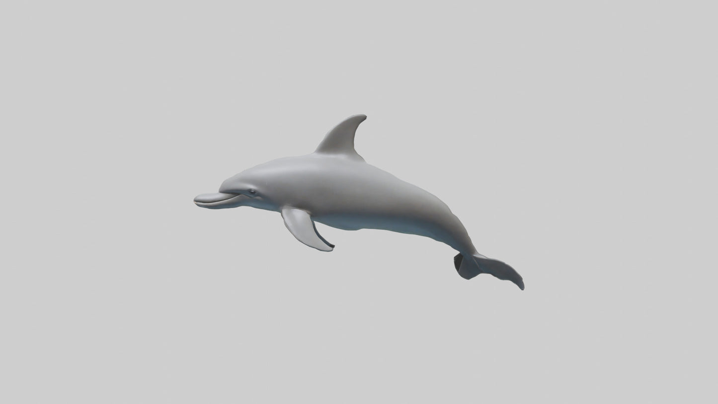 River Dolphin hunting model VR / AR / low-poly